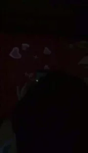 [原创] 娇妻做爱有对白